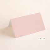 "Big City" - Place Cards in Blush by Hooray Creative - Folded Back of Card