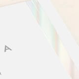 "Brushy frame" - Gloss-Press® Place Cards in Opal by Stacey Meacham - Detail