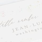 "Starry Sky" - Gloss-Press® Place Cards in Iridescent by Phrosné Barwood - Detail