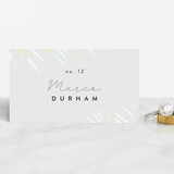 "Palm Vibes" - Gloss-Press® Place Cards in Porcelain by Pixel and Hank - Front with Free Guest Printing