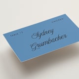 "Santorini" - Place Cards - Chicken in Cerulean by Morgan Kendall - Detail