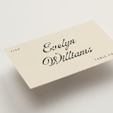 "Vintage" - Place Cards - Fish in Cream by Stacy Maalouf - Detail