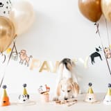 "Bow Wow Party Hats" - Party Hats in multicolor by Jollity and Co
