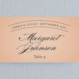 "Big City - Austin" - Place Cards in Peach by Hooray Creative - Detail