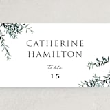 "Fresh Sage" - Place Cards in Olive by Christie Kelly - Detail