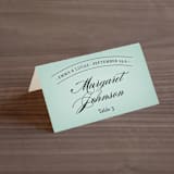 "Big City - Washington DC" - Place Cards in Mint Green by Hooray Creative - Folded with Free Guest Printing