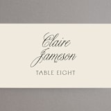 "Refined Beauty" - Place Cards in Cream by Stacey Day - Detail