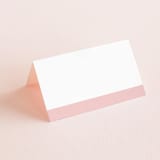"Romantic Frame" - Place Cards in Soft Petal by SimpleTe Design - Blank front