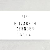 "Sophistotype" - Place Cards in Sea Salt by Snow and Ivy - Detail
