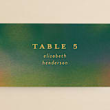 "Forest Love" - Place Cards in Forest by Simona Camp - Detail