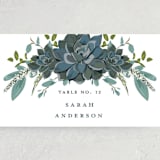 "Echeveria" - Place Cards in Prussian Blue by Susan Moyal - Detail