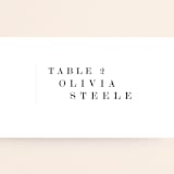 "Urban" - Place Cards in Onyx by Lori Wemple - Detail
