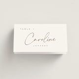 "Full Photo" - Place Cards in Chiffon by Orasie - Folded with Free Guest Printing