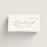 "Luxe script" - Place Cards in Pearl by Hooray Creative - Folded with Free Guest Printing