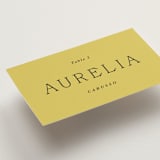 "Antique Ribbon" - Place Cards in Citrine by Olivia Kanaley Inman - Detail