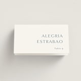 "graceful" - Place Cards in Dusty Blue by Jennifer Postorino - Folded with Free Guest Printing