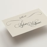 "Old Fashioned" - Place Cards in Night by Ani Somi - Detail