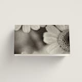 "Nonnette" - Place Cards in Vanilla by Blustery August - Blank Front