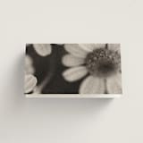 "Nonnette" - Place Cards in Vanilla by Blustery August - Folded Back of Card
