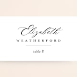 "Sienna" - Place Cards in Sugar by Jessica Williams - Detail