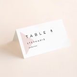 "Elementary" - Place Cards in Dusty Rose by Katy Shen - Folded with Free Guest Printing