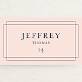 "Chic Gala" - Place Cards in Cotton Candy by Kimberly FitzSimons - Detail
