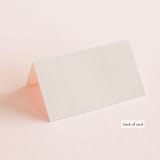 "Eleanor" - Place Cards in Rose by Creative Parasol - Folded Back of Card