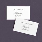 "One and Only" - Place Cards in Classic Bride by Design Lotus - Front with Free Guest Printing