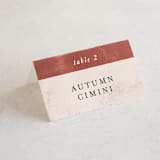 "Dust" - Place Cards in Sienna by Carrie ONeal - Folded with Free Guest Printing