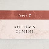 "Dust" - Place Cards in Sienna by Carrie ONeal - Detail