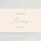 "EverAfter" - Place Cards in Petal by Rochelle Renee - Detail