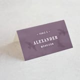 "High" - Place Cards in Agate by Yuliya Evseeva - Folded with Free Guest Printing