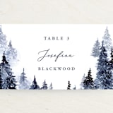 "Let it Snow" - Place Cards in Celestial by Anastasia Makarova - Detail