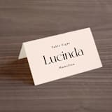 "SoHo" - Place Cards in Blush by Hudson meet Rose - Folded with Free Guest Printing