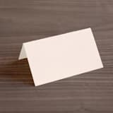 "SoHo" - Place Cards in Blush by Hudson meet Rose - Blank front