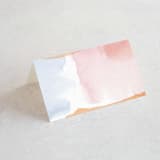 "Watercolor Wisp" - Place Cards in Blush by Ariel Rutland - Blank front