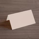 "Delicate monogram" - Place Cards in Blush by Lucrecia Caporale - Blank front