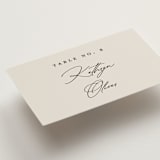 "Modern Monogram" - Place Cards in Ecru by Erica Krystek - Detail