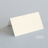 "Love Struck" - Place Cards in Pale Salmon Peach by The Social Type - Folded Back of Card