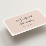 "Penumbra" - Place Cards in Garden by Snow and Ivy - Detail