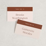 "There Will Be a Party" - Place Cards in Terra Cotta by Amy Payne - Front with Free Guest Printing