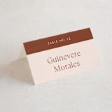 "There Will Be a Party" - Place Cards in Terra Cotta by Amy Payne - Folded with Free Guest Printing