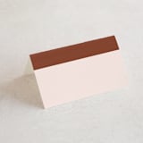 "There Will Be a Party" - Place Cards in Terra Cotta by Amy Payne - Blank front
