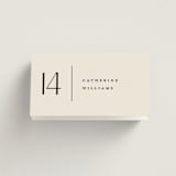 "All Type" - Place Cards in Daydream by Pixel and Hank - Folded with Free Guest Printing