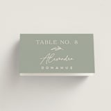 "Soft Arch" - Place Cards in Sage by Erica Krystek - Folded with Free Guest Printing