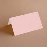 "modern tropics" - Place Cards in Blush by Baumbirdy - Blank front