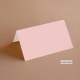 "modern tropics" - Place Cards in Blush by Baumbirdy - Folded Back of Card