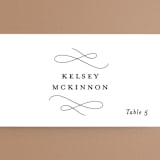 "Beyond Words" - Place Cards in Snow by Kimberly FitzSimons - Detail