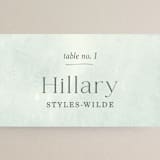 "Blue Jean Baby" - Place Cards in Ocean by Chelsea Petaja - Detail