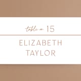 "Modern Ticket" - Place Cards in Rust by Alethea and Ruth - Detail